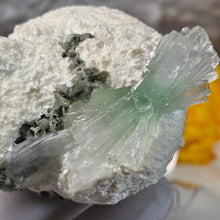 Load image into Gallery viewer, Green Apophyllite with Mesolite (India) – 印度绿色鱼眼石共生钠沸石矿标
