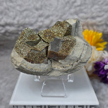 Load image into Gallery viewer, Rainbow Pyrite Specimen Display (Russia) – 俄罗斯彩虹黄铁矿标本摆件
