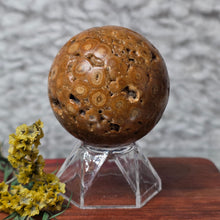 Load image into Gallery viewer, 佛眼龙宫舍利 (Thai Dragon Palace Relic Stone) – Protection, Blessings &amp; Spiritual Power
