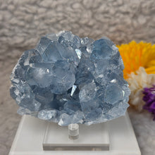 Load image into Gallery viewer, Top-Grade Celestite Specimen Display (Madagascar) – 顶级马达加斯加天青石标本摆件
