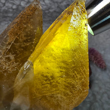 Load image into Gallery viewer, Golden Dogtooth Calcite Display – 金色犬牙方解石摆件
