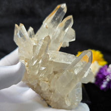 Load image into Gallery viewer, Clear Quartz Cluster Display (Green Ridge, Washington, USA) – 美国华盛顿州 Green Ridge 天然透明水晶簇矿物摆件
