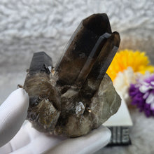 Load image into Gallery viewer, Smoky Quartz Cluster (Brazil) – 巴西烟晶簇
