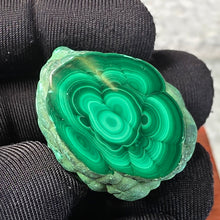 Load image into Gallery viewer, Malachite Specimen – 孔雀石原石
