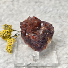 Load image into Gallery viewer, Brazilian Auralite Cluster Display – 巴西极光23水晶簇摆件
