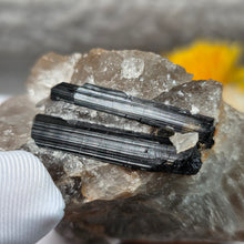 Load image into Gallery viewer, Raw Black Tourmaline in Quartz Specimen Display – 黑碧玺共生石英原矿摆件
