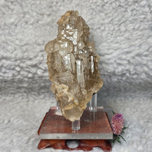 Load image into Gallery viewer, Elestial Quartz Display (Brazil) – 巴西骨幹水晶原石摆件
