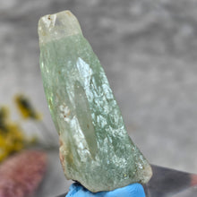 Load image into Gallery viewer, Green Apophyllite Pointer – Heart-Centered Clarity &amp; Healing Energy
