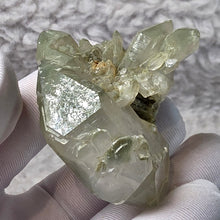 Load image into Gallery viewer, Green Phantom Quartz (Pakistan) – 巴基斯坦绿幽灵水晶
