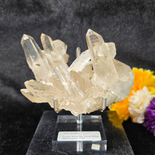 Load image into Gallery viewer, Clear Quartz Cluster Display (Green Ridge, Washington, USA) – 美国华盛顿州 Green Ridge 天然透明水晶簇矿物摆件
