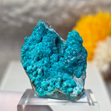 Load image into Gallery viewer, Blue Chrysocolla on Quartz Display (Peru) – 秘鲁蓝硅孔雀石共生石英摆件

