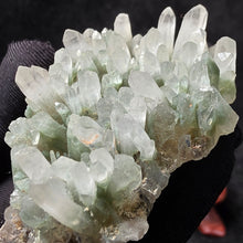 Load image into Gallery viewer, Green Phantom Quartz Cluster – Chlorite Quartz Natural Specimen
