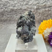 Load image into Gallery viewer, Galena on Quartz Mineral Specimen (Peru) – 秘鲁方铅矿共生石英天然矿物标本

