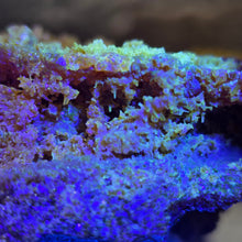 Load image into Gallery viewer, Zincite Specimen (Poland) – 波兰天然锌矿标本
