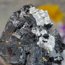 Load image into Gallery viewer, Galena Specimen (Australia) – 澳洲方铅矿矿物标本
