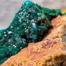 Load image into Gallery viewer, Dioptase with Malachite &amp; Chrysocolla Specimen (Congo) – 刚果翠铜矿共生孔雀石与蓝铜矿矿标
