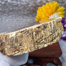 Load image into Gallery viewer, Petrified Wood Display (Madagascar) – 马达加斯加木化石摆件
