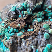 Load image into Gallery viewer, Chrysocolla on Matrix (Planet Mine, Arizona, USA) – 亚利桑那州 Planet Mine 蓝铜矿共生母岩标本
