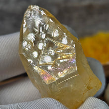 Load image into Gallery viewer, Iridescent Golden Healer Lemurian Seed (Colombia) – 哥伦比亚天然彩虹黄金疗愈师雷姆利亚种子水晶
