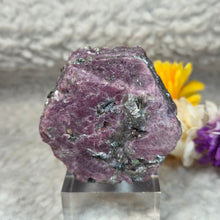 Load image into Gallery viewer, Raw Ruby with Kyanite Specimen Display – 红宝石共生蓝晶石原矿摆件
