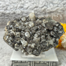Load image into Gallery viewer, Columnar Calcite Specimen (Fujian, China) – 中国福建柱状方解石矿标
