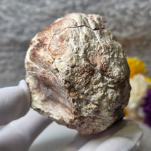 Load image into Gallery viewer, Pink Amethyst Geode Display (Argentina) – 阿根廷粉色紫水晶晶洞摆件
