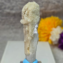 Load image into Gallery viewer, Danburite Specimen (Mexico) – 墨西哥丹布莱石标本
