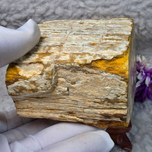 Load image into Gallery viewer, Petrified Wood Display (Madagascar) – 马达加斯加木化石摆件
