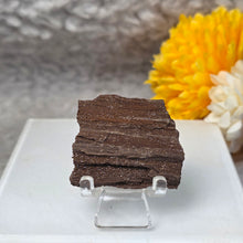 Load image into Gallery viewer, German Druzy Petrified Wood Display – Ancient Fossil Wood Specimen – 德国晶洞木化石远古化石标本
