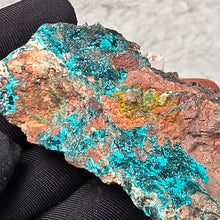Load image into Gallery viewer, Dioptase (Congo) – Intense Heart Healing &amp; Rare Collector Crystal
