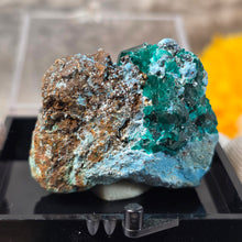 Load image into Gallery viewer, Dioptase with Chrysocolla Specimen (Congo) – 刚果翠铜矿共生蓝铜矿矿标
