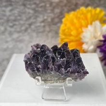 Load image into Gallery viewer, Amethyst Cluster Specimen (Bulgaria) – 保加利亚紫水晶簇矿标
