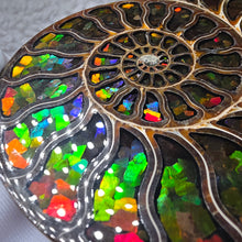 Load image into Gallery viewer, Ammonite with Ammolite Inlay Display – Wealth, Protection &amp; Energy Flow

