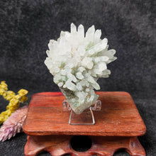 Load image into Gallery viewer, Green Phantom Quartz Cluster – Chlorite Quartz Natural Specimen
