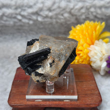 Load image into Gallery viewer, Raw Black Tourmaline in Quartz Specimen Display – 黑碧玺共生石英原矿摆件
