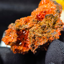 Load image into Gallery viewer, Crocoite Mineral Specimen Display – Dundas, Tasmania, Australia | 红铅矿天然矿物标本摆件
