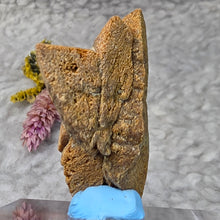 Load image into Gallery viewer, Glendonite – Earth Wisdom &amp; Grounded Transformation Stone
