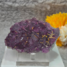Load image into Gallery viewer, Purple &amp; Green Bi-Tone Fluorite Display – 紫绿双色萤石摆件
