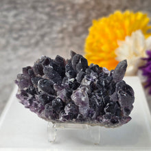 Load image into Gallery viewer, Amethyst Cluster Specimen (Bulgaria) – 保加利亚紫水晶簇矿标
