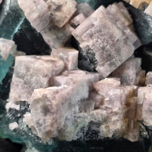 Load image into Gallery viewer, Natural Cube Fluorite on Green Fluorite Display (Hunan, China) – 中国湖南天然立方萤石共生绿色萤石摆件
