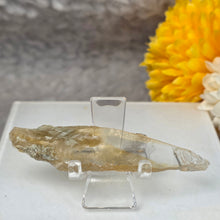 Load image into Gallery viewer, Golden Selenite Specimen Display (Turkey) – 土耳其金色透石膏标本摆件
