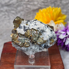 Load image into Gallery viewer, Chalcopyrite, Sphalerite &amp; Quartz Specimen – 黄铜矿闪锌矿共生石英矿物标本
