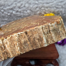 Load image into Gallery viewer, Petrified Wood Display (Madagascar) – 马达加斯加木化石摆件
