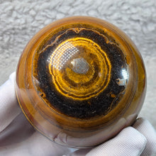 Load image into Gallery viewer, Yellow Tiger Eye with Hematite Sphere – 黄虎眼石伴赤铁矿球
