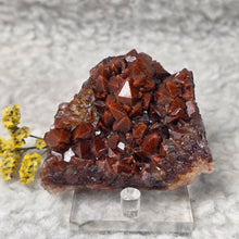 Load image into Gallery viewer, Brazilian Auralite Cluster Display – 巴西极光23水晶簇摆件
