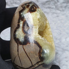 Load image into Gallery viewer, Septarian Geode – Grounding &amp; Expression Stone
