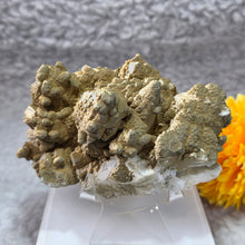 Load image into Gallery viewer, Quartz with Calcite &amp; Actinolite Cluster (Madan Ore Field, Smolyan Province, Bulgaria) – 保加利亚马丹矿区石英方解石阳起石共生晶簇
