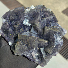 Load image into Gallery viewer, Colour-Changing Fluorite with Pyrite (Nigeria) – 尼日利亚变色萤石共生黄铁矿
