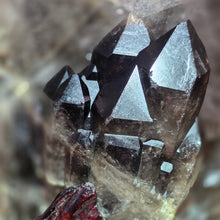 Load image into Gallery viewer, Smokey Quartz Jumbo Pointer (Brazil) – Grounding, Protection &amp; Power Crystal
