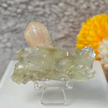 Load image into Gallery viewer, Gemmy Green Apophyllite Specimen Display – 宝石级绿色鱼眼石标本摆件
